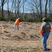 A Braveheart customer takes on a fast-moving chukar.