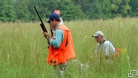 Two shooters take Pat's flushing directions as he kneels to steady a younger dog on point.