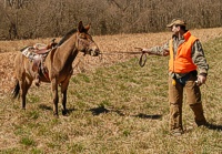 A hunt test judge has words with his single-minded mount. By day's end, that mule will have walked the course many times.