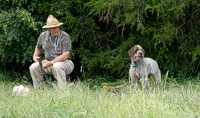 A hunter - his classic Parker side-by-side across his lap - and his 3-year-old Drathaar (or, German Wirehaired Pointer) waits at his dove station. The air is steamy and drizzly, and the Wirehair is showing great patience for a young pointing dog.