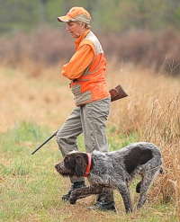 A pair makes a comfortable pace in the Senior bird field.
