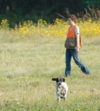 A relaxed handler keeps to the "don't over handle" mantra, and lets her Pointer work the field.