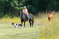 A Pointer and his handler make their way in front of the Junior test judge.