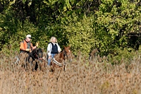 The mounted judges are twenty yards behind, watching how the dogs hunt and respond to their handlers.